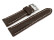 Uhrenarmband - Leder - stark gepolstert - glatt - braun 18mm Stahl