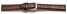 Uhrenarmband - echt Leder - Kroko Prägung - dunkelbraun 10mm Stahl