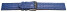 Uhrenarmband - gepolstert  - echt Hai - hellblau 22mm Gold