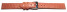 Uhrenarmband Leder altrosa 16mm Gold Safari