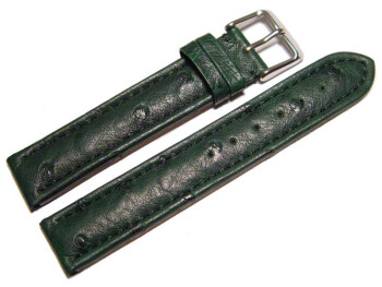 Dorn - Uhrenarmband - echt Strauss - dunkelgrün 18mm Stahl