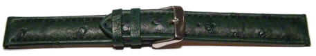 Dorn - Uhrenarmband - echt Strauss - dunkelgrün 20mm Stahl