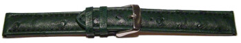 Dorn - Uhrenarmband - echt Strauss - dunkelgrün 24mm Gold