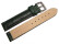 Dorn - Uhrenarmband - echt Strauss - dunkelgrün 24mm Gold