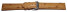 Dorn - Uhrenarmband - echt Strauss - natur 20mm Gold