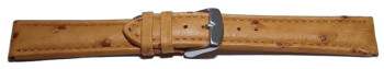 Dorn - Uhrenarmband - echt Strauss - natur 24mm Stahl