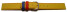 Dorn - Wasserfest - gelb - 14mm Gold