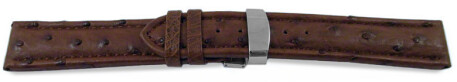 Kippfaltschließe - Uhrenarmband - echt Strauß - dunkelbraun 20mm Gold