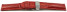 Butterfly - Kalbsleder - Teju - rot 24mm Gold