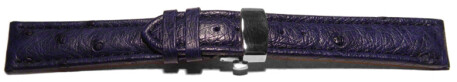 Butterfly - echt Strauss - dunkelblau 18mm schwarz