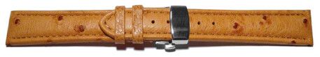 Butterfly - echt Strauss - natur 24mm schwarz