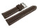 Uhrenarmband - Leder - stark gepolstert - glatt - dunkelbraun - 21mm Stahl