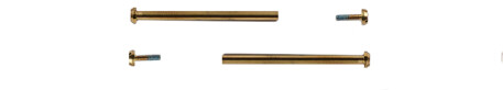SCHRAUBEN goldfarben Casio für Bandbefestigung GMW-B5000GD-9 GMW-B5000TFG-9 GMW-B5000KL-9