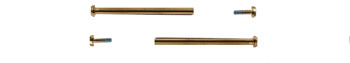 Schrauben Casio goldfarben für die Bandbefestigung GMW-B5000TB-1 GMW-B5000TCM-1