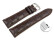 Schnellwechsel Uhrenarmband RIOS Kroko Prägung art manuel dunkelbraun 19 mm Stahl