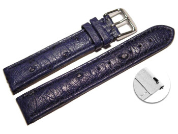 Schnellwechsel Uhrenarmband echt Strauss dunkelblau 22mm Stahl