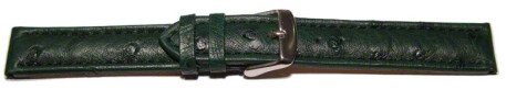 Schnellwechsel Uhrenarmband echt Strauss dunkelgrün 18mm Gold