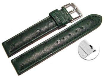 Schnellwechsel Uhrenarmband echt Strauss dunkelgrün 18mm Gold