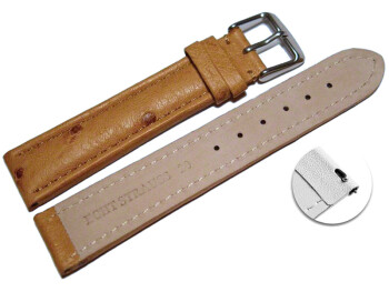Schnellwechsel Uhrenarmband echt Strauss natur 20mm Stahl