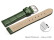 Schnellwechsel Uhrenarmband - echt Leder - Kroko Prägung - grün - 12mm Gold