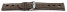 Uhrenarmband echt Leder Race dunkelbraun 20mm Schwarz