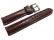 Uhrenarmband stark gepolstert echt Alligator dunkelbraun (rotbraun) 18mm Schwarz