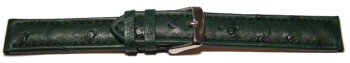 Dorn - Uhrenarmband - echt Strauss - dunkelgrün 18mm Schwarz
