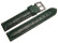 Dorn - Uhrenarmband - echt Strauss - dunkelgrün 20mm Schwarz
