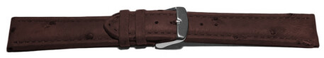 Dorn - Uhrenarmband - echt Strauss - dunkelbraun 18mm Schwarz