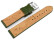 Veganes Uhrenband aus Kaktus grün 18mm Stahl