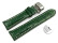 Schnellwechsel Uhrenband mit Butterfly stark gepolstert Kroko grün 18mm 20mm 22mm 24mm